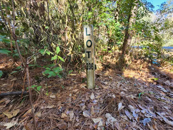 21 Blake LN Lane, Seabrook, SC 29940