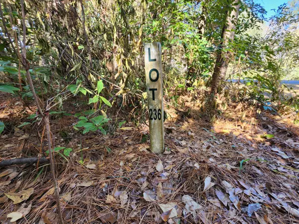 21 Blake Ln, Seabrook, SC 29940