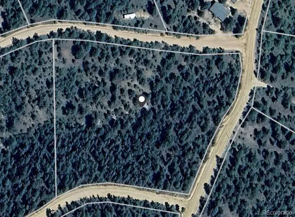 7935 County Road 51, Divide, CO 80814