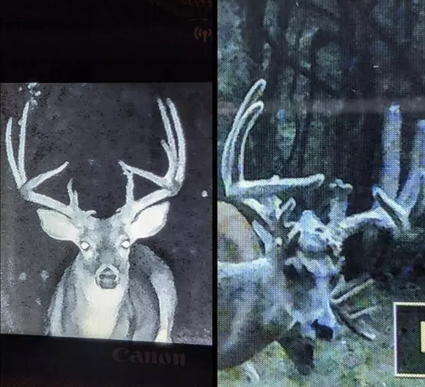 000 Mountain Creek Trail, Oakland, AR 72661