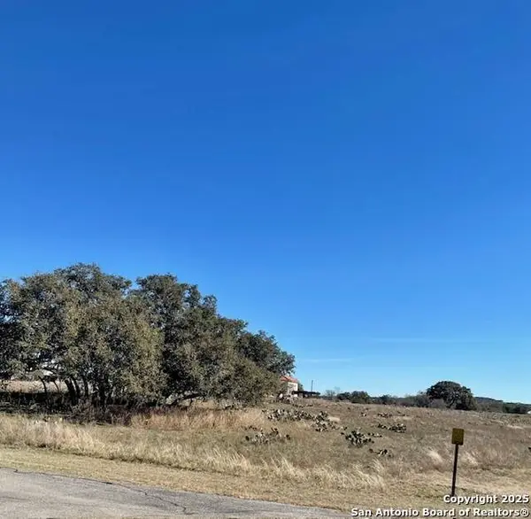 NA (LOT 20) Spring Creek, Bandera, TX 78003