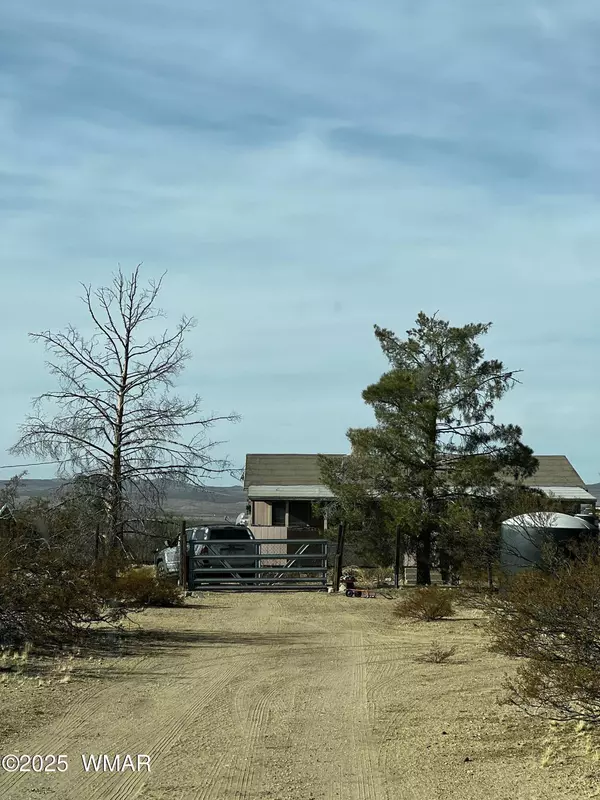 12837 Silver Sage Drive, Dolan Springs, AZ 86441