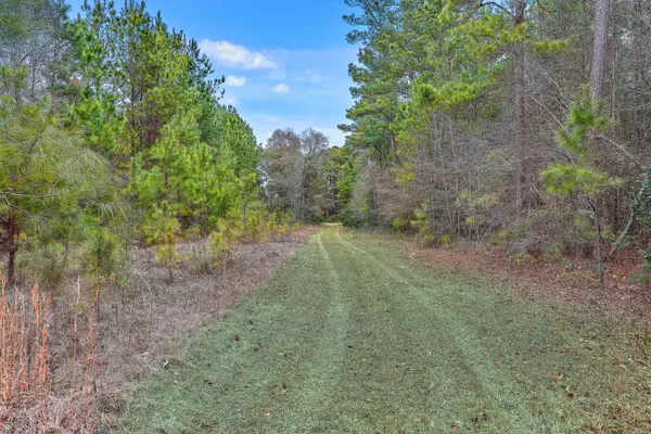 9470 Old State Rd, Holly Hill, SC 29059