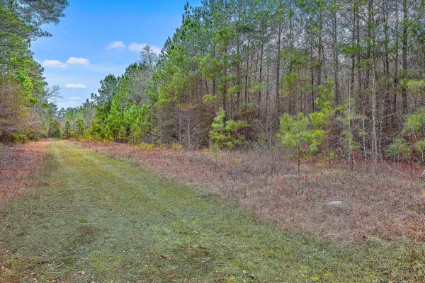 9470 Old State Rd, Holly Hill, SC 29059