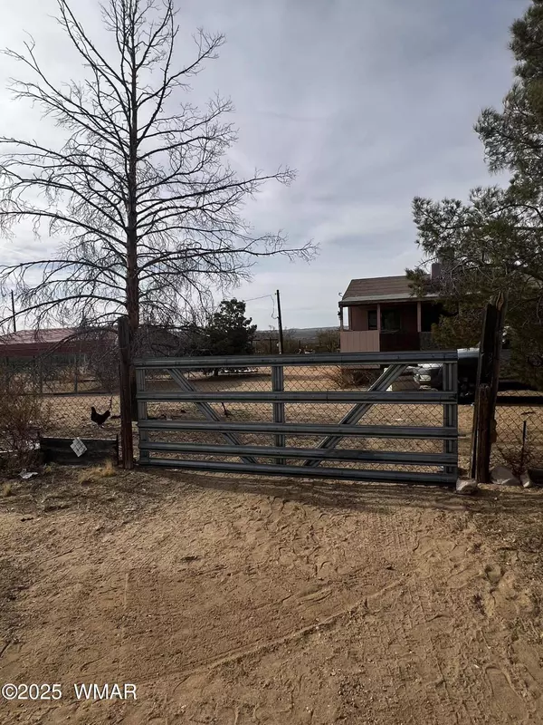 12837 Silver Sage Drive, Dolan Springs, AZ 86441