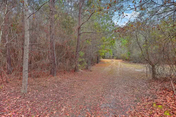 9470 Old State Rd, Holly Hill, SC 29059