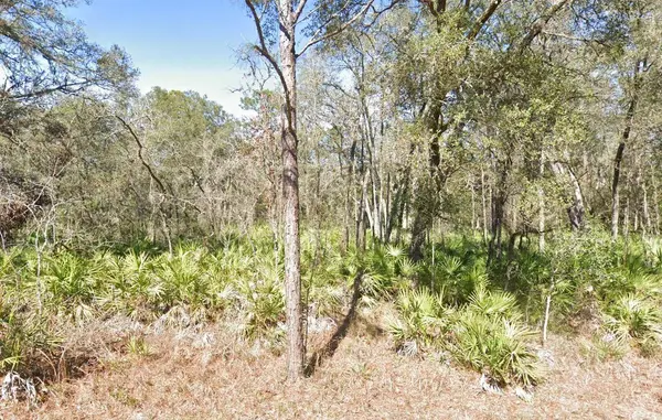 Lot 17 OVERCUP DR, Webster, FL 33597