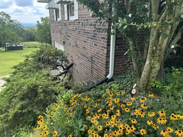 1380 Morris RD, Mountain Grove, MO 65711