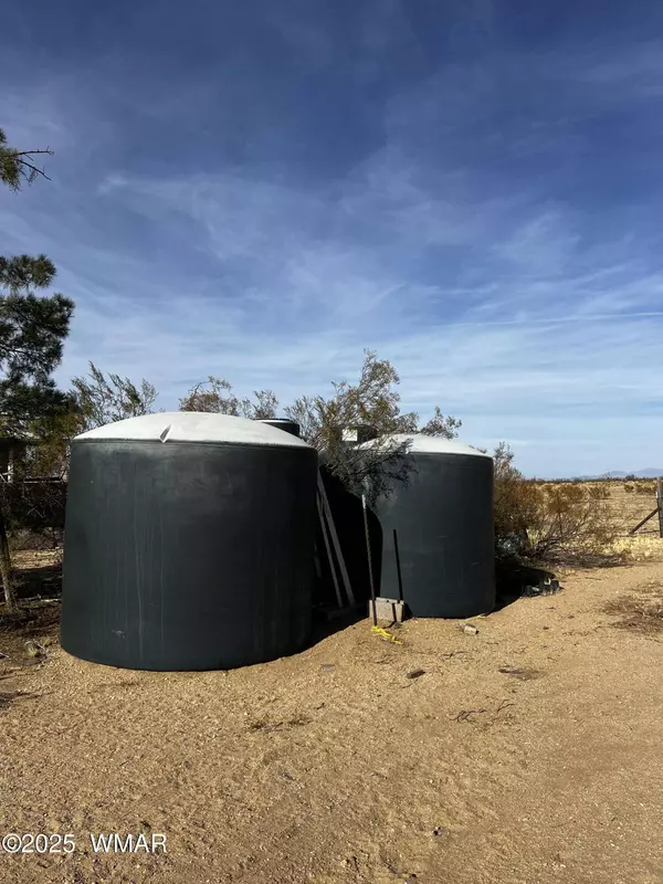 12837 Silver Sage Drive, Dolan Springs, AZ 86441