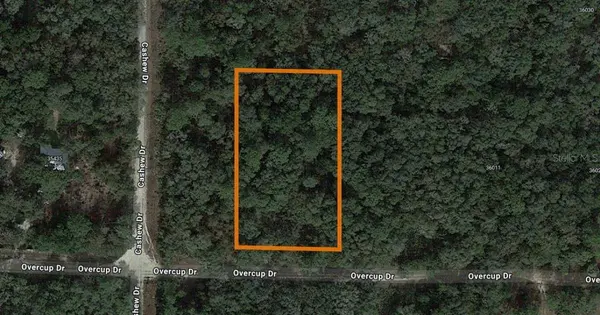 Lot 17 OVERCUP DR, Webster, FL 33597