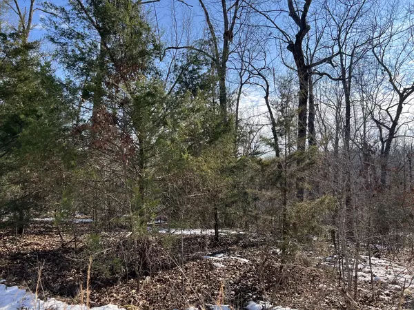 40 Acres in Mammoth Spring Arkansas