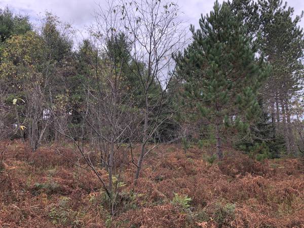 Lt 1,2,3 RIVER HILL RD, Conover, WI 54519