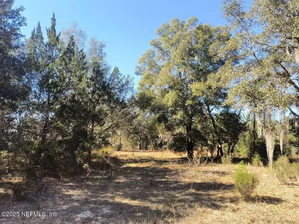 239 MARTIN ST, Interlachen, FL 32148