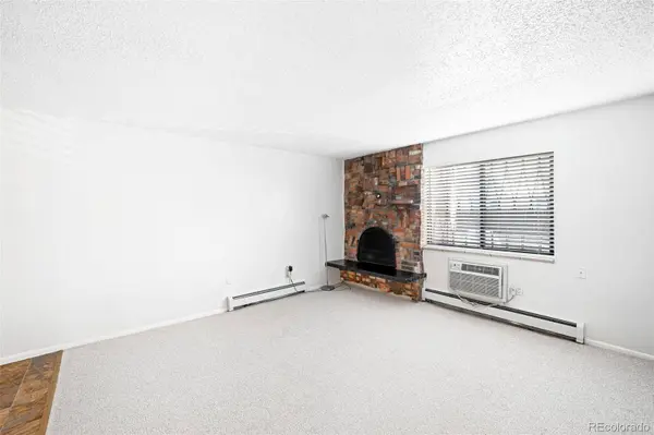 1008 N Corona ST #204, Denver, CO 80218