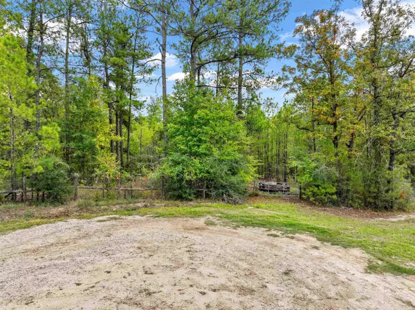 923 Deer Park Drive, Brookeland, TX 75931