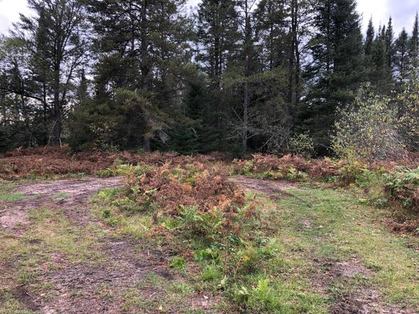 Lt 1,2,3 RIVER HILL RD, Conover, WI 54519