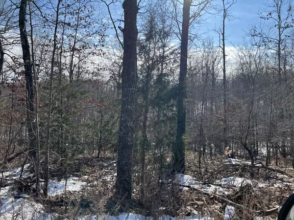 40 Acres in Mammoth Spring Arkansas