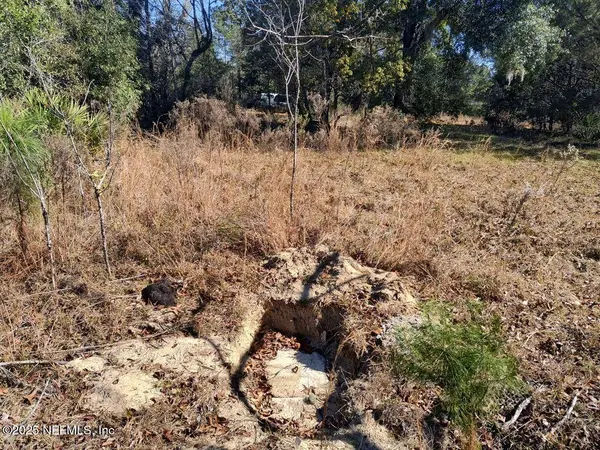 239 MARTIN ST, Interlachen, FL 32148