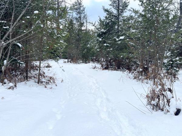 Lt 1,2,3 RIVER HILL RD, Conover, WI 54519