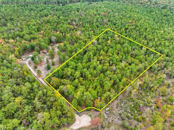 923 Deer Park Drive, Brookeland, TX 75931