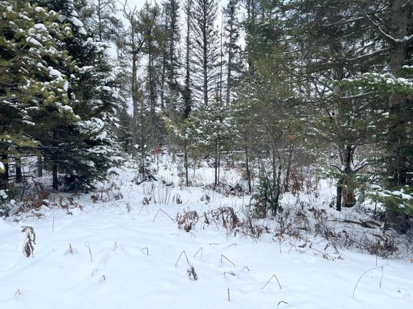 Lt 1,2,3 RIVER HILL RD, Conover, WI 54519