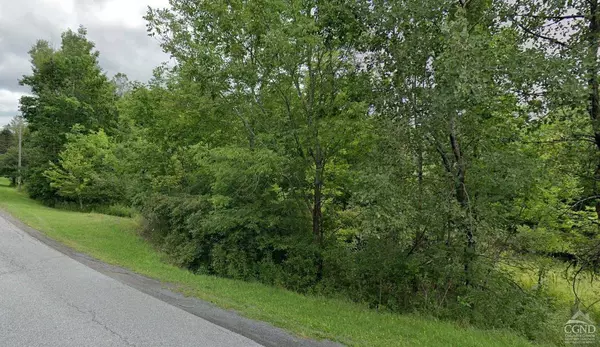 407 Merwin ST, Jewett, NY 12444