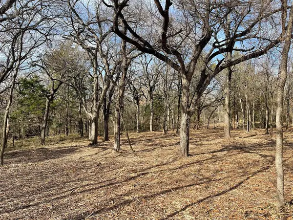 TBD 3.9 Acres Barron Road, Covington, TX 76636