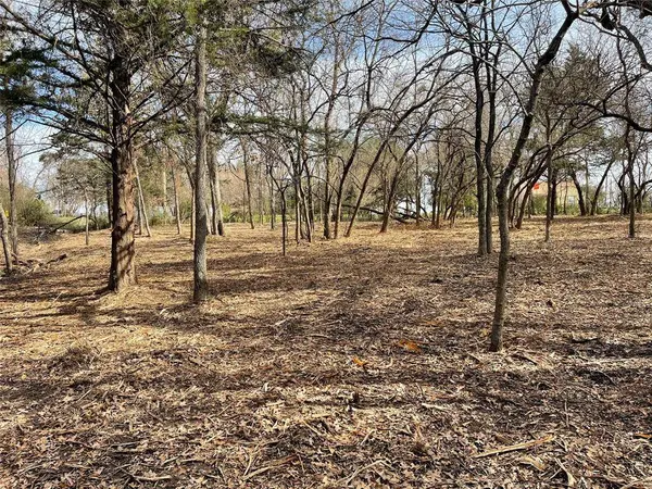 TBD 3.9 Acres Barron Road, Covington, TX 76636