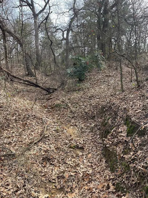 TBD 3.9 Acres Barron Road, Covington, TX 76636