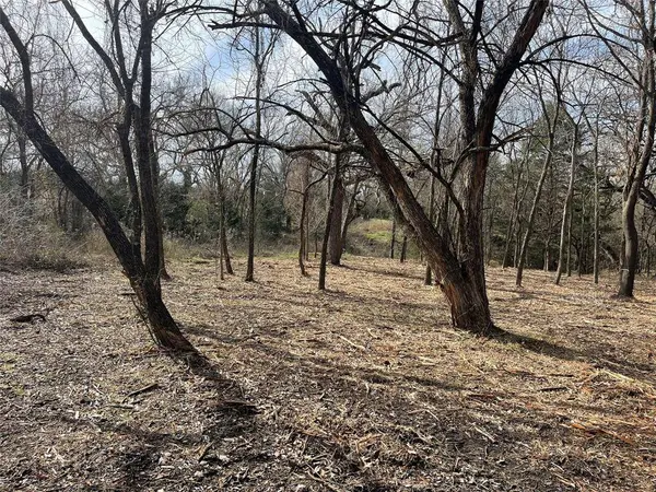 TBD 3.9 Acres Barron Road, Covington, TX 76636
