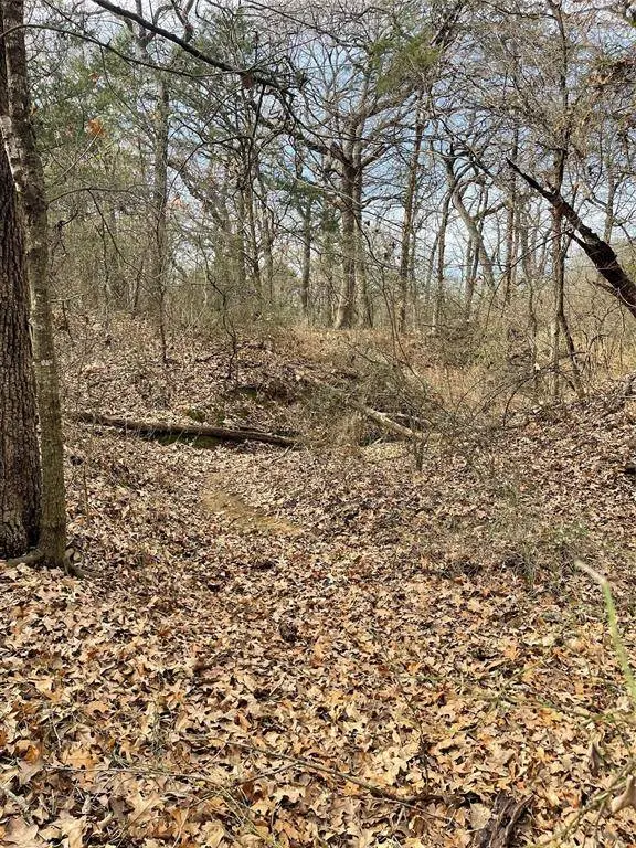 TBD 3.9 Acres Barron Road, Covington, TX 76636