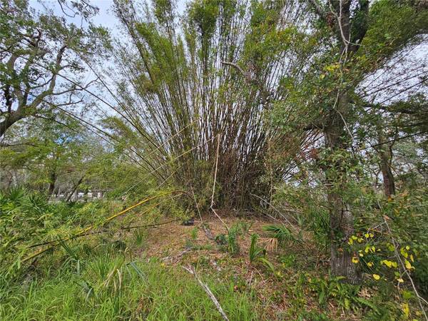 INCE DR, Ruskin, FL 33570