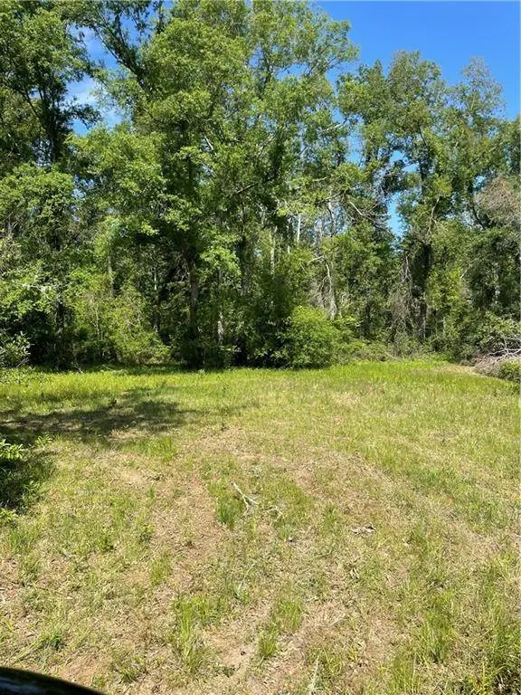 21163 E HWY 22, Ponchatoula, LA 70454