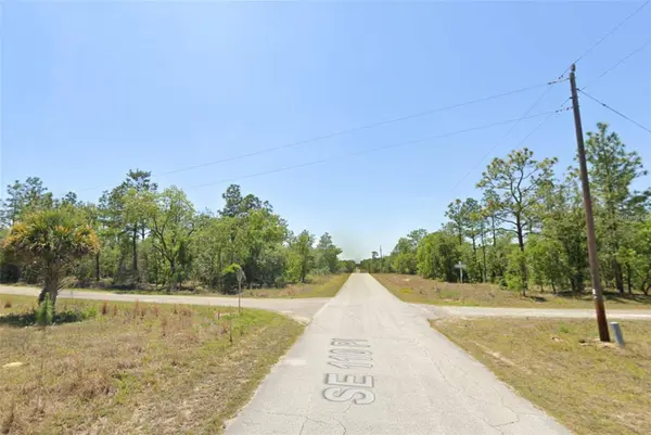 0 SE 133RD AVE, Dunnellon, FL 34431
