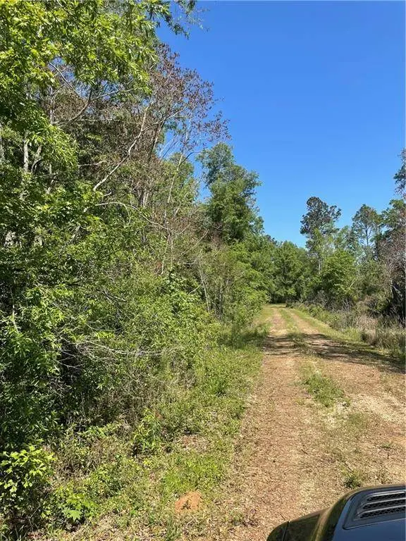 21163 E HWY 22, Ponchatoula, LA 70454