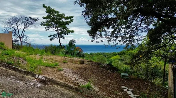 La Reserva Camaronal Lot 129 /, Hojancha, 51103