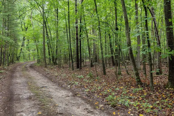 Lot 27L SOUTH EAST SIDE HWY #27L, Elkton, VA 22827