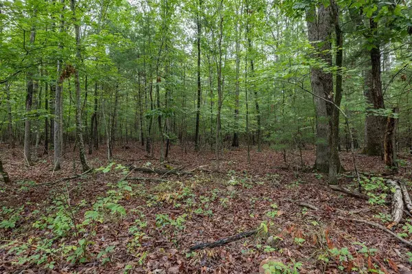 Lot 27L SOUTH EAST SIDE HWY #27L, Elkton, VA 22827