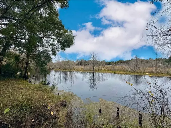 4974 S Pheasant WAY, Floral City, FL 34436