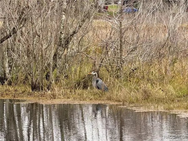 4974 S Pheasant WAY, Floral City, FL 34436