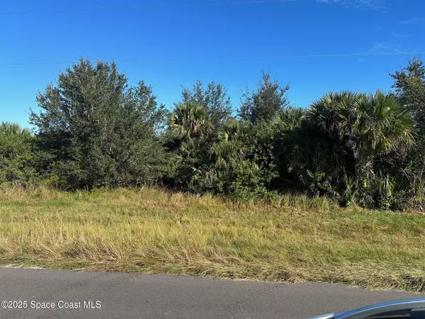 314 Trotters ST, Palm Bay, FL 32909