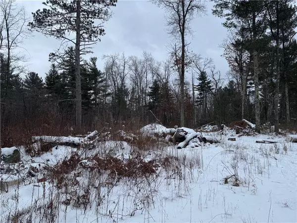 Lot 1 Gurno Lake Road, Hayward, WI 54843