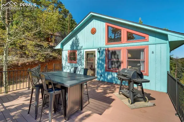 9910 Mountain RD, Cascade, CO 80809