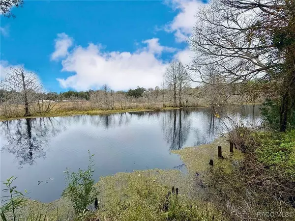 4974 S Pheasant WAY, Floral City, FL 34436