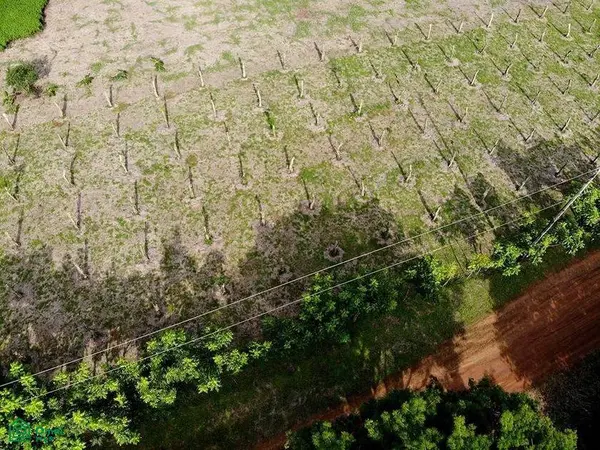 La Reserva Commercial Lot, Playa Camaronal /, 50903