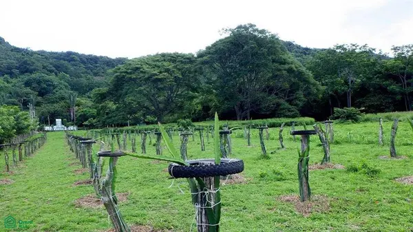 La Reserva Commercial Lot, Playa Camaronal /, 50903