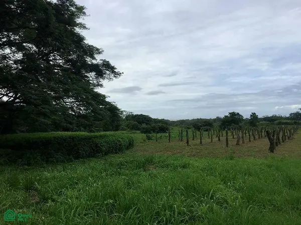 La Reserva Commercial Lot, Playa Camaronal /, 50903