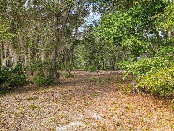 3163 BRIGHT LAKE CIR, Groveland, FL 34736