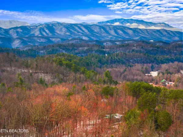 Black Oak DR, Sevierville, TN 37876