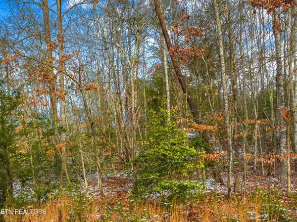 Black Oak DR, Sevierville, TN 37876